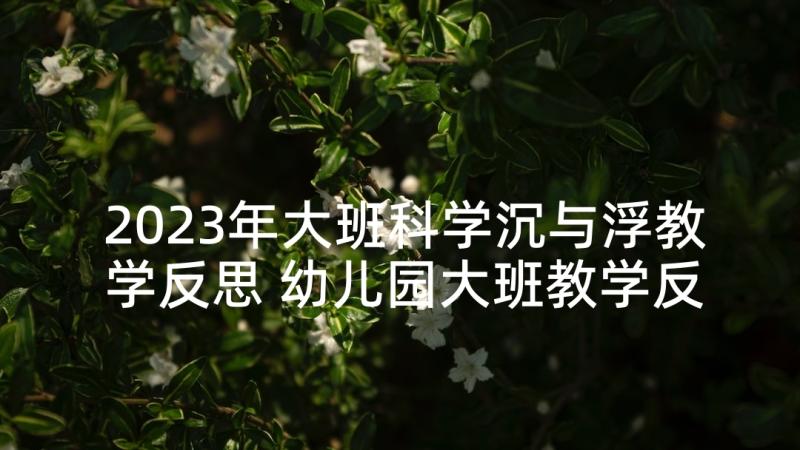 2023年大班科学沉与浮教学反思 幼儿园大班教学反思(实用10篇)