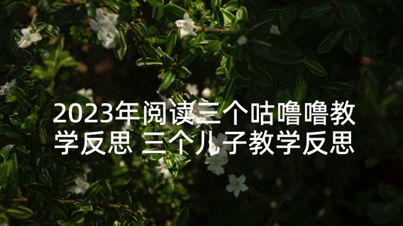 2023年阅读三个咕噜噜教学反思 三个儿子教学反思(汇总10篇)