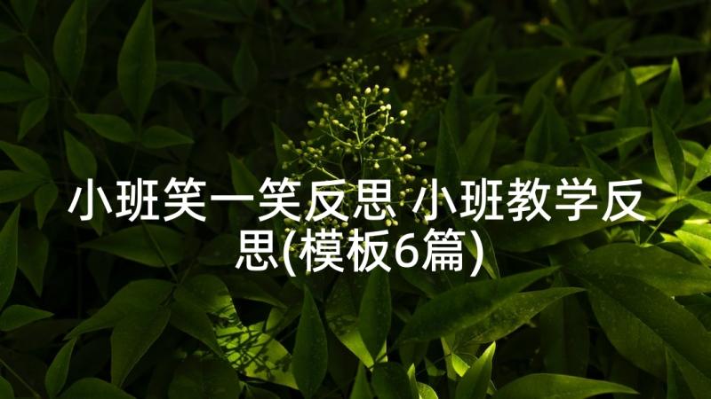 小班笑一笑反思 小班教学反思(模板6篇)