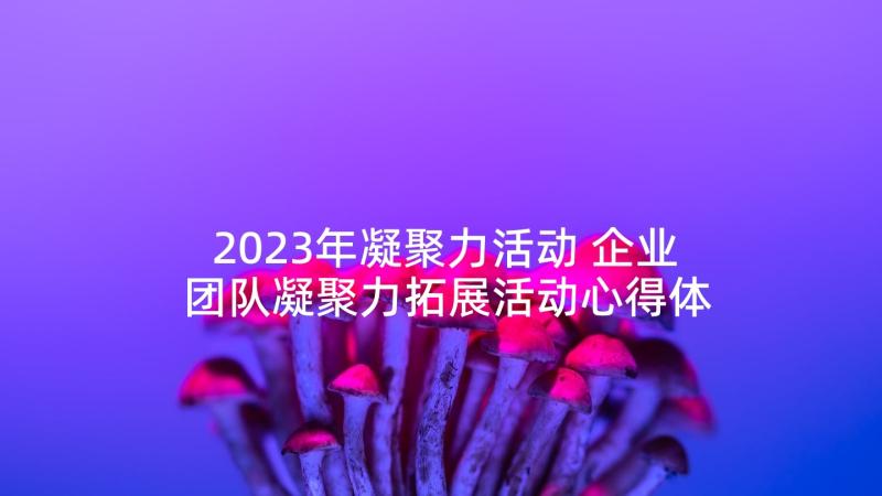 2023年凝聚力活动 企业团队凝聚力拓展活动心得体会(实用5篇)