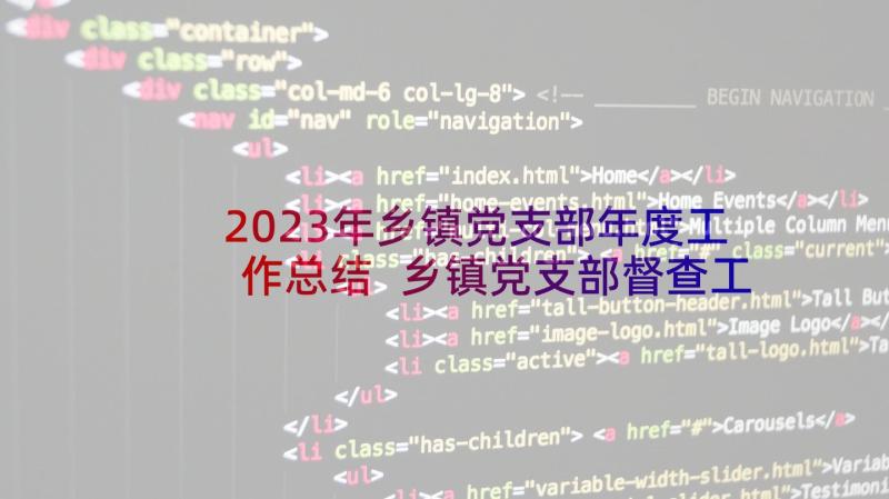 2023年乡镇党支部年度工作总结 乡镇党支部督查工作计划(优质5篇)