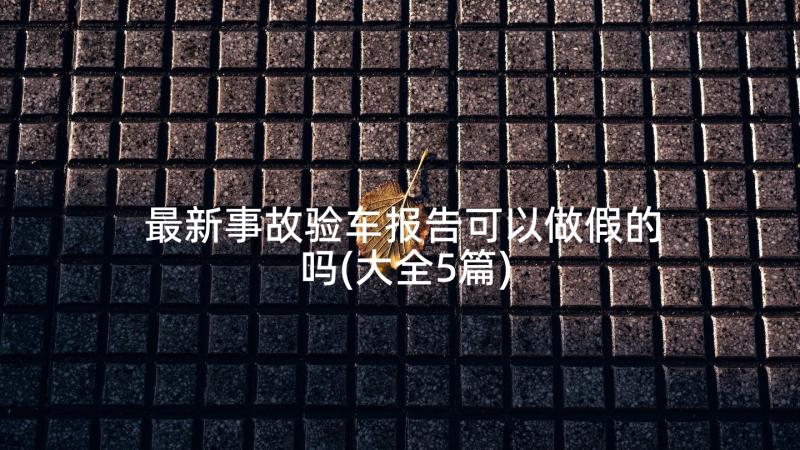 最新事故验车报告可以做假的吗(大全5篇)