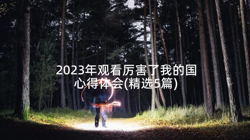 2023年观看厉害了我的国心得体会(精选5篇)