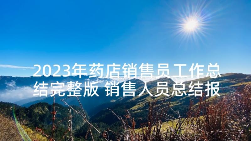 2023年药店销售员工作总结完整版 销售人员总结报告万能(汇总8篇)