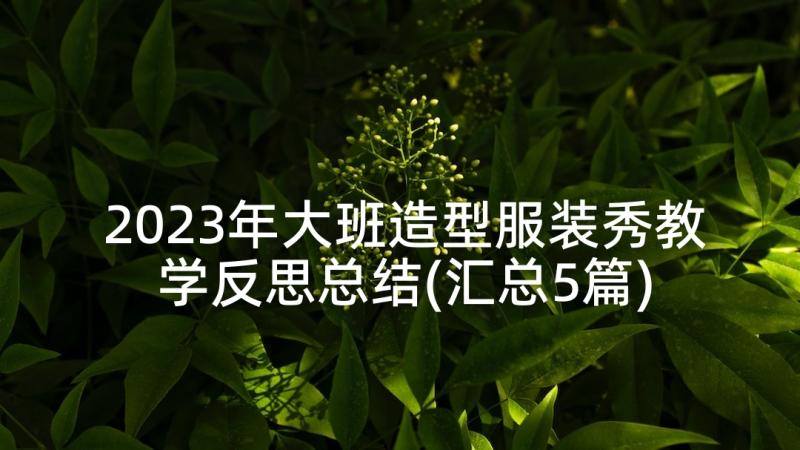 2023年大班造型服装秀教学反思总结(汇总5篇)