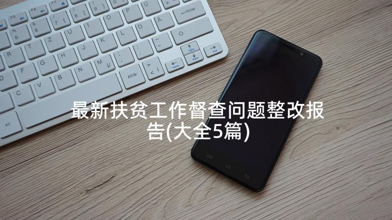 最新扶贫工作督查问题整改报告(大全5篇)