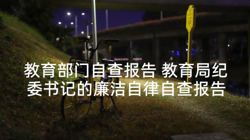 教育部门自查报告 教育局纪委书记的廉洁自律自查报告(大全5篇)