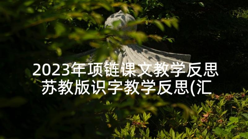 2023年项链课文教学反思 苏教版识字教学反思(汇总6篇)