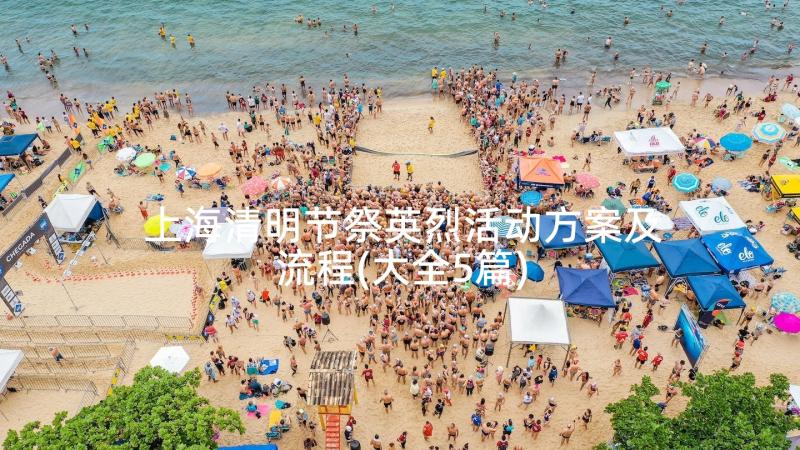 上海清明节祭英烈活动方案及流程(大全5篇)