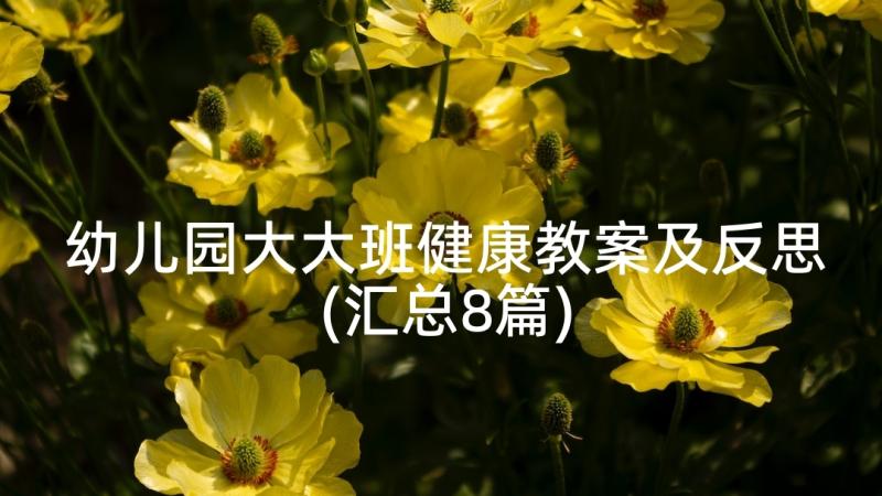 幼儿园大大班健康教案及反思(汇总8篇)