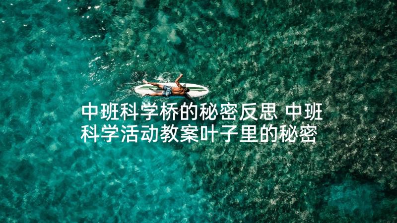 中班科学桥的秘密反思 中班科学活动教案叶子里的秘密(实用6篇)