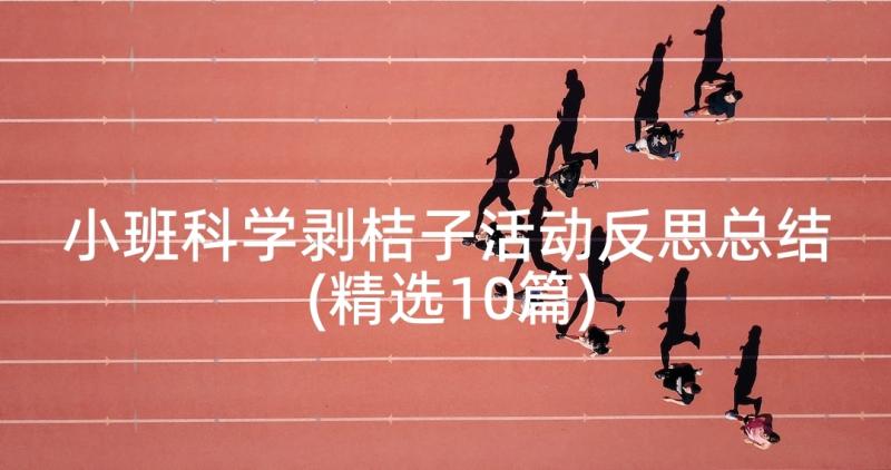 小班科学剥桔子活动反思总结(精选10篇)