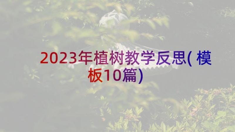 2023年植树教学反思(模板10篇)