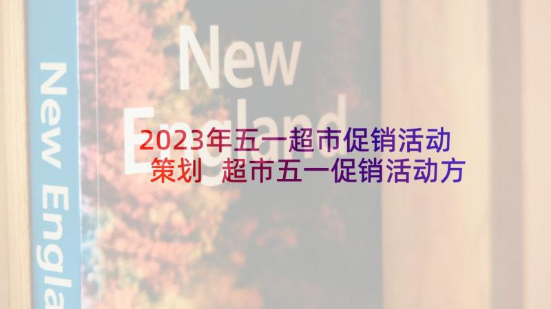 2023年五一超市促销活动策划 超市五一促销活动方案(大全5篇)