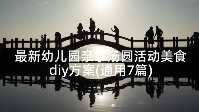 最新幼儿园亲子汤圆活动美食diy方案(通用7篇)