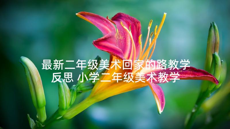 最新二年级美术回家的路教学反思 小学二年级美术教学反思(精选5篇)