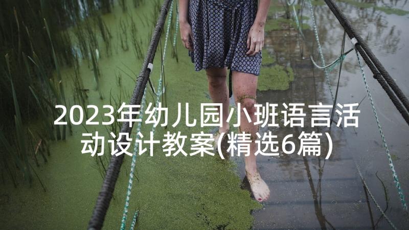 2023年幼儿园小班语言活动设计教案(精选6篇)