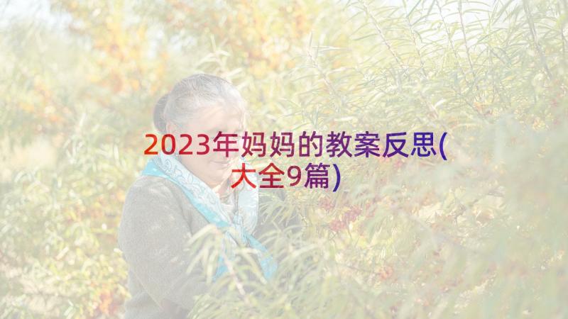 2023年妈妈的教案反思(大全9篇)