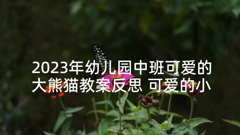 2023年幼儿园中班可爱的大熊猫教案反思 可爱的小猫教学反思(精选9篇)