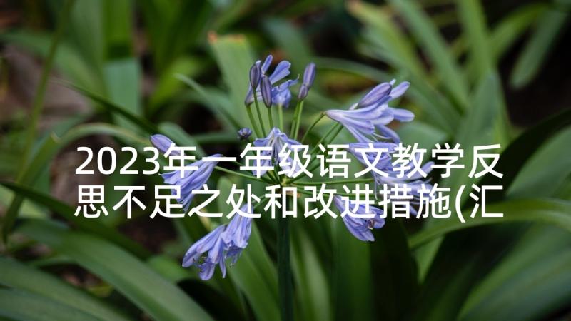 2023年一年级语文教学反思不足之处和改进措施(汇总6篇)