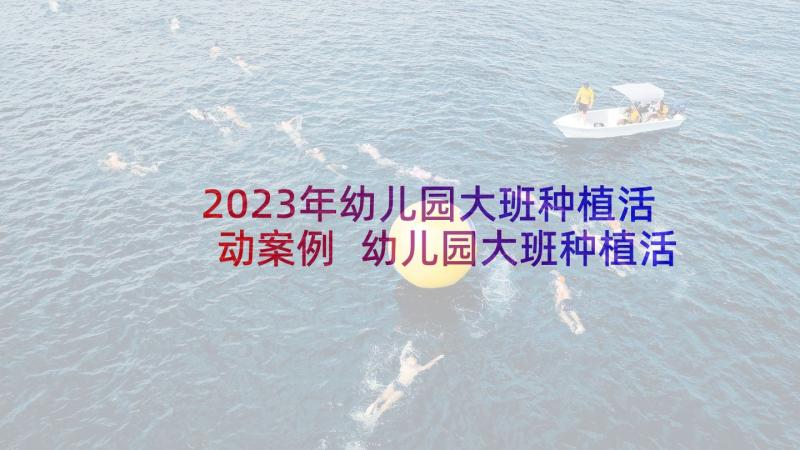 2023年幼儿园大班种植活动案例 幼儿园大班种植活动计划(实用5篇)