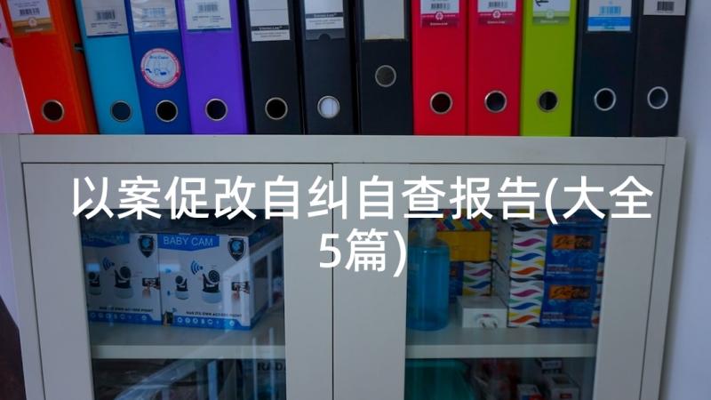 以案促改自纠自查报告(大全5篇)