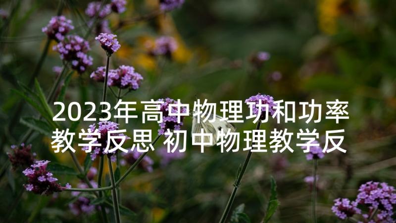 2023年高中物理功和功率教学反思 初中物理教学反思(汇总8篇)