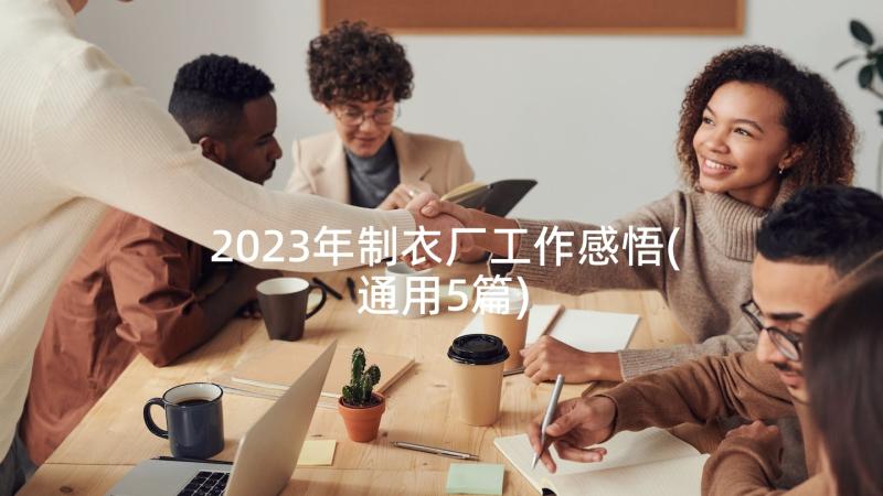 2023年制衣厂工作感悟(通用5篇)