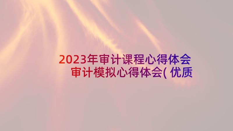 2023年审计课程心得体会 审计模拟心得体会(优质5篇)