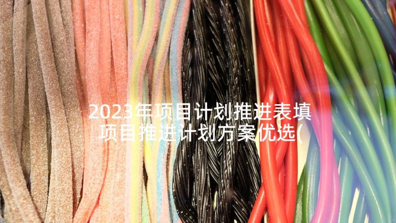 2023年项目计划推进表填 项目推进计划方案优选(大全5篇)