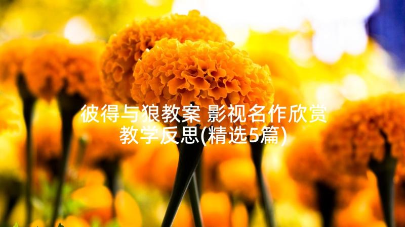 彼得与狼教案 影视名作欣赏教学反思(精选5篇)