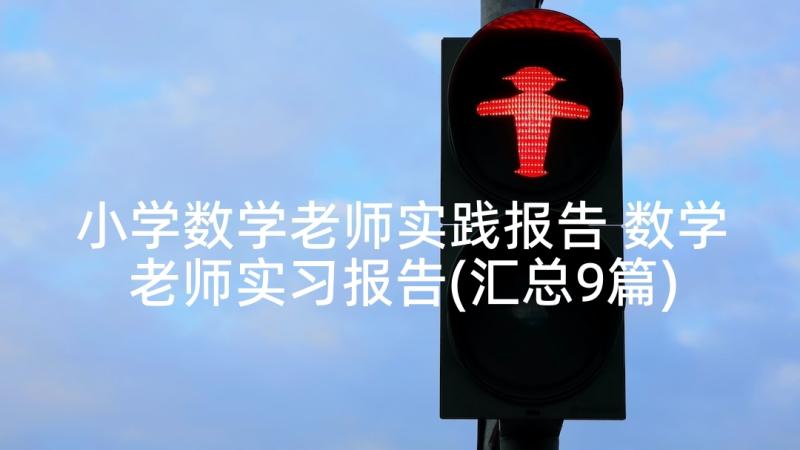 小学数学老师实践报告 数学老师实习报告(汇总9篇)