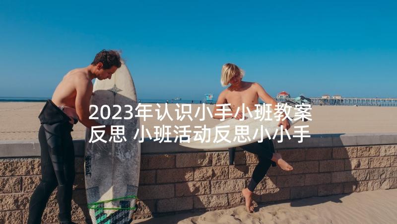 2023年认识小手小班教案反思 小班活动反思小小手(模板5篇)