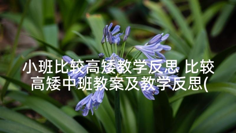 小班比较高矮教学反思 比较高矮中班教案及教学反思(优质5篇)