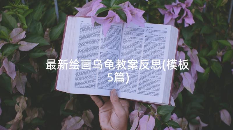 最新绘画乌龟教案反思(模板5篇)