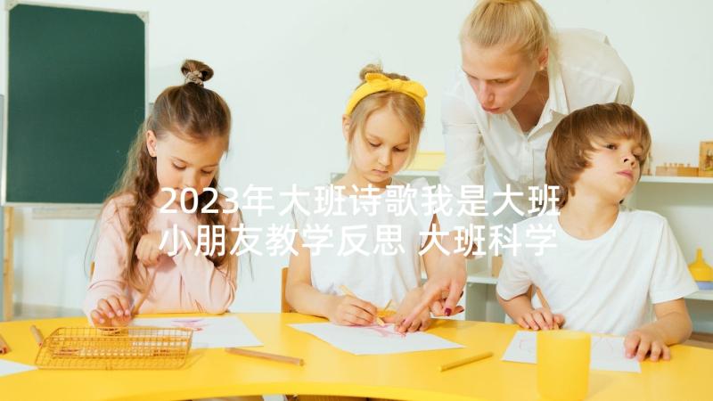 2023年大班诗歌我是大班小朋友教学反思 大班科学领域教案及教学反思我是小司机(通用5篇)