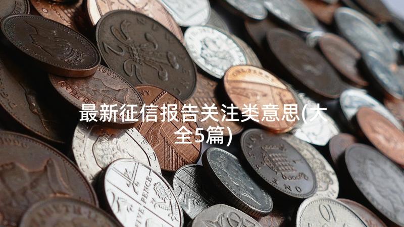 最新征信报告关注类意思(大全5篇)