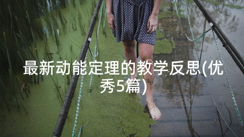 最新动能定理的教学反思(优秀5篇)