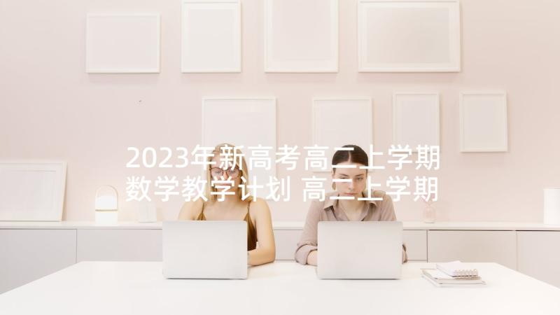 2023年新高考高二上学期数学教学计划 高二上学期数学教学计划(通用7篇)