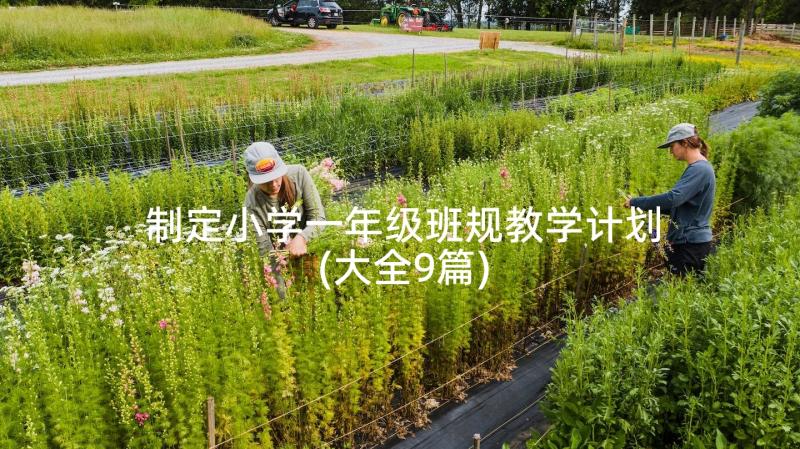 制定小学一年级班规教学计划(大全9篇)