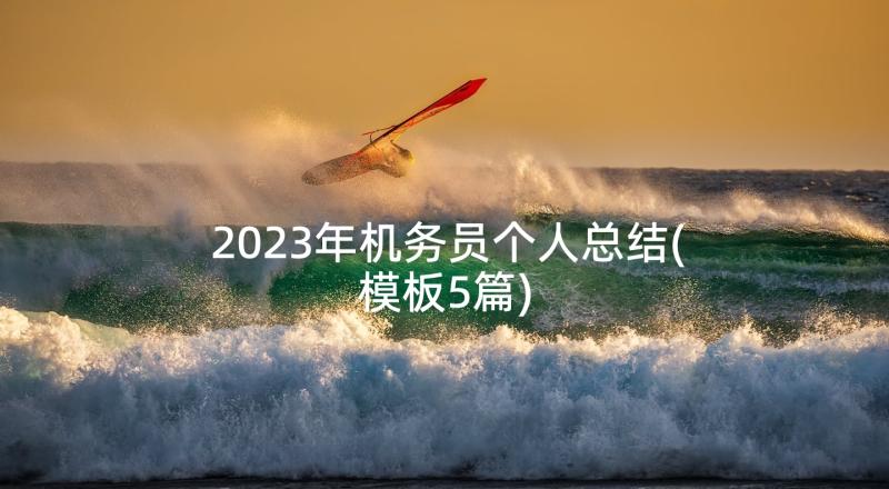 2023年机务员个人总结(模板5篇)