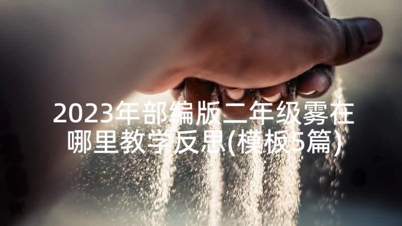 2023年部编版二年级雾在哪里教学反思(模板5篇)