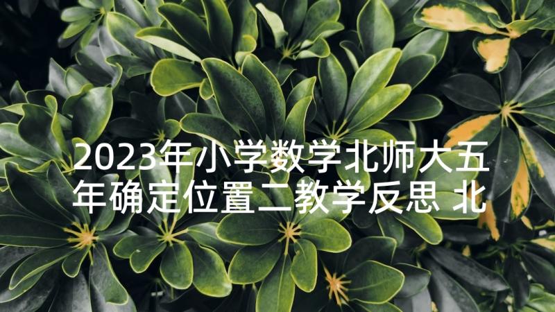 2023年小学数学北师大五年确定位置二教学反思 北师大五年级数学教学反思(汇总8篇)