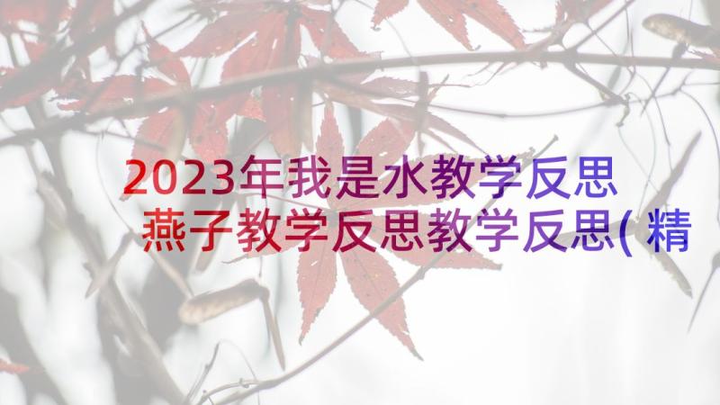 2023年我是水教学反思 燕子教学反思教学反思(精选6篇)