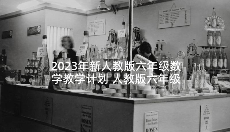 2023年新人教版六年级数学教学计划 人教版六年级数学教学计划(通用5篇)