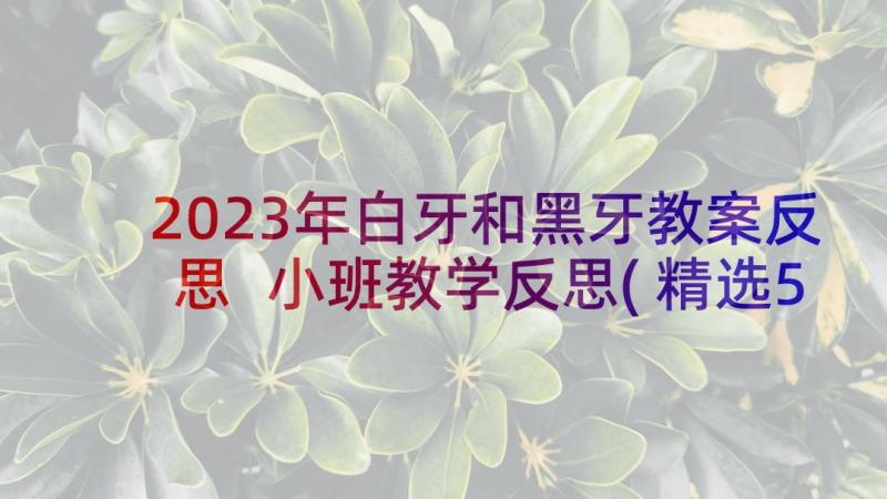 2023年白牙和黑牙教案反思 小班教学反思(精选5篇)