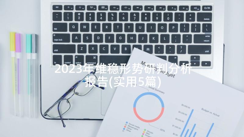 2023年维稳形势研判分析报告(实用5篇)