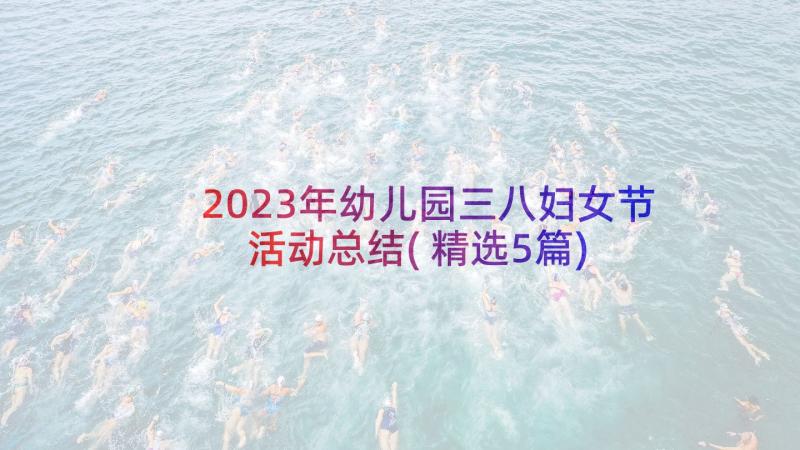 2023年幼儿园三八妇女节活动总结(精选5篇)