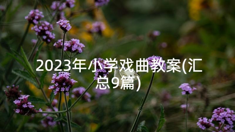 2023年小学戏曲教案(汇总9篇)