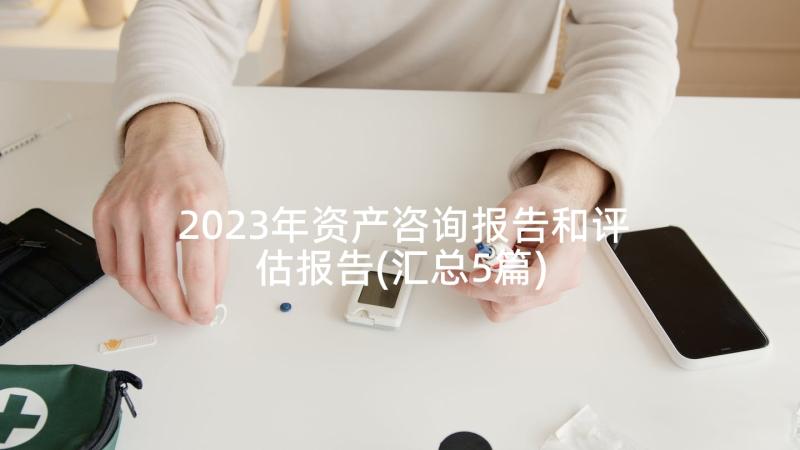 2023年资产咨询报告和评估报告(汇总5篇)